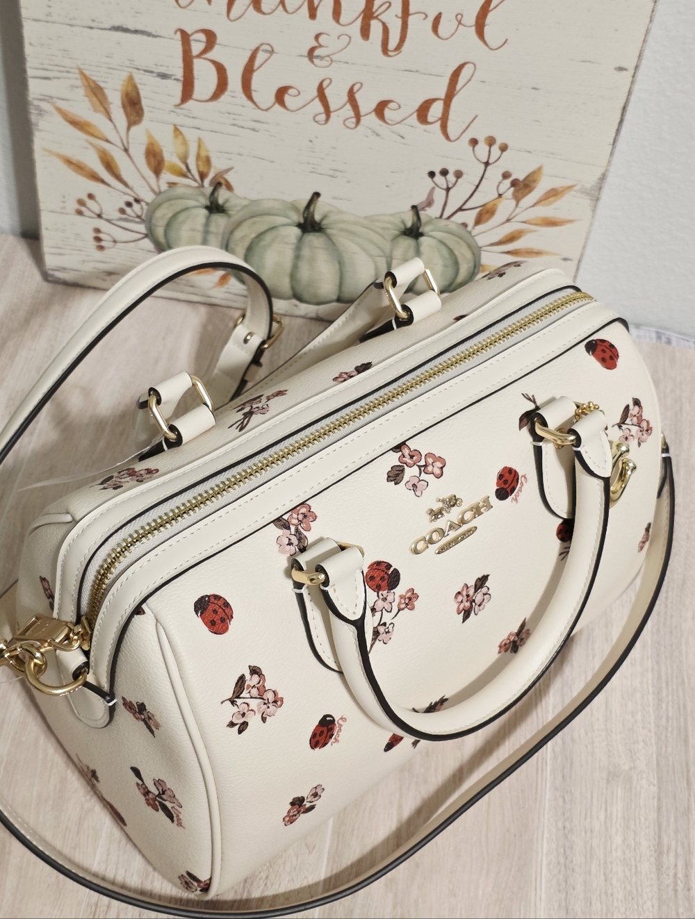 Coach RARE Rowan MEDIUM Crossbody Chalk Ladybug Floral + gold Coach C charm ๐๐ - Picture 16 of 16